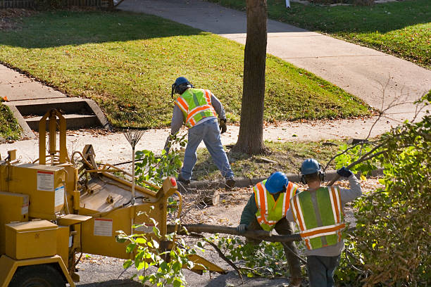 Best Lawn Watering Services  in Lake Forest, CA
